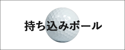 持ち込みボール