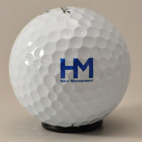 タイトリスト PRO V1 ロゴ入れ