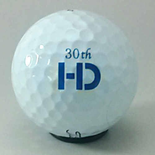 タイトリスト PRO V1x ロゴ入れ