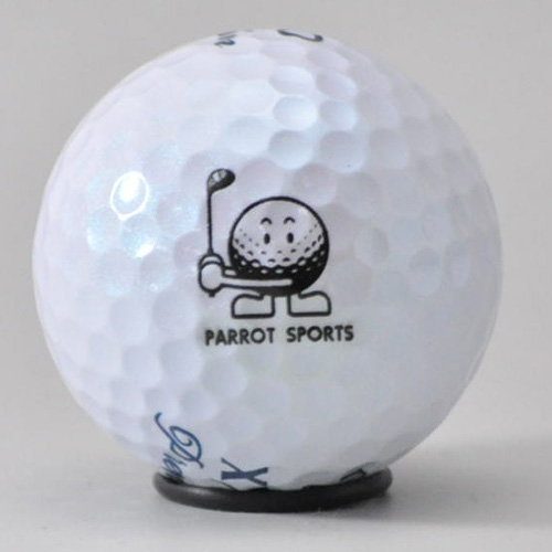 持ち込みボール ロゴ入れ