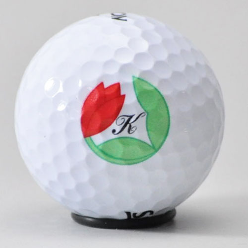 ダンロップ スリクソン Z-STAR ロゴ入れ