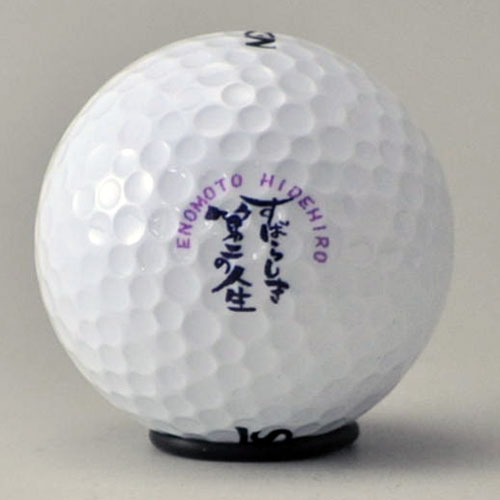 ダンロップ ディスタンス 　ロゴ入れ