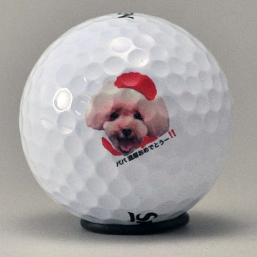 ダンロップ スリクソン AD333 　ロゴ入れ