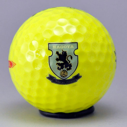 持込みボール ロゴ入れ