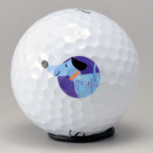 持込みボール ロゴ入れ