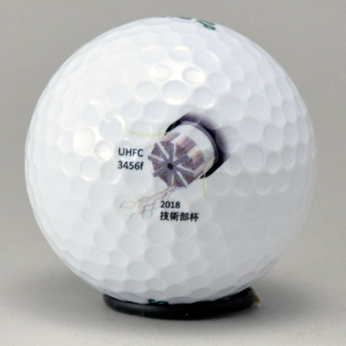 DDH ツアースペシャル SF ロゴ入れ