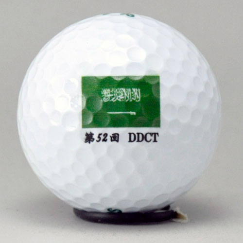 DDH ツアースペシャル SF ロゴ入れ