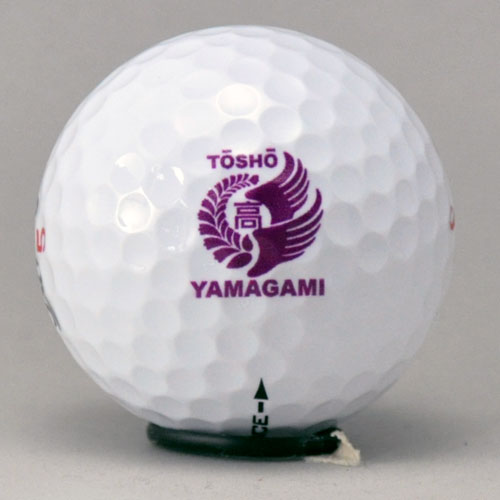 持込みボール ロゴ入れ