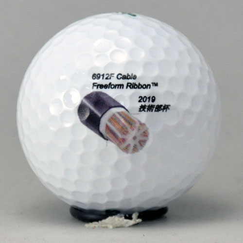 DDH ツアースペシャル SF ロゴ入れ