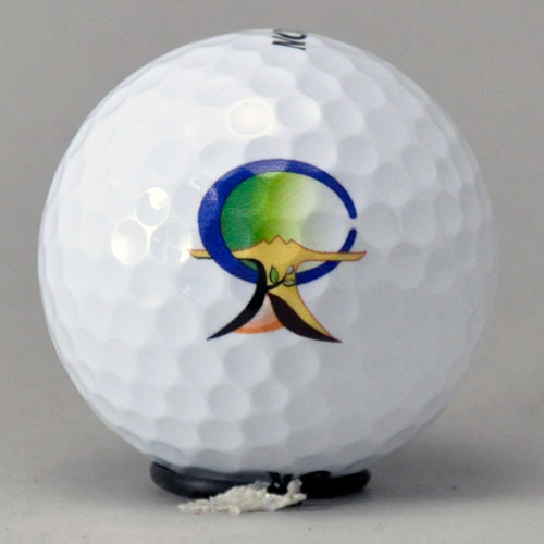 ダンロップ ディスタンス 　ロゴ入れ