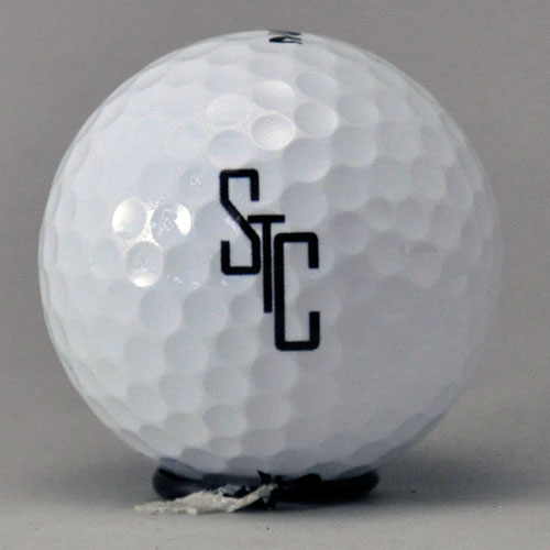 ダンロップ スリクソン Z-STAR  ロゴ入れ