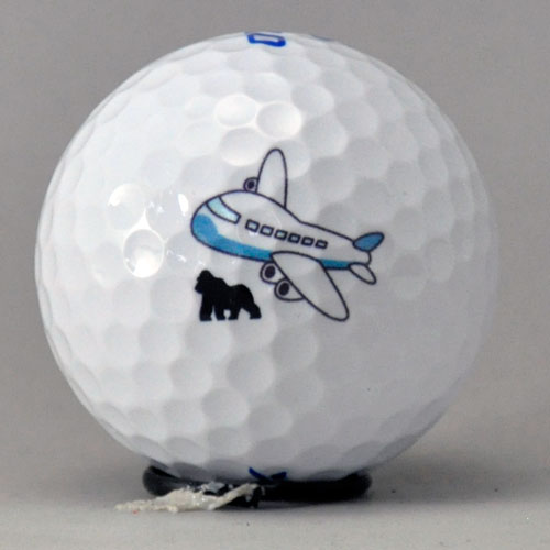 ダンロップ ゼクシオ イレブン ロゴ入れ