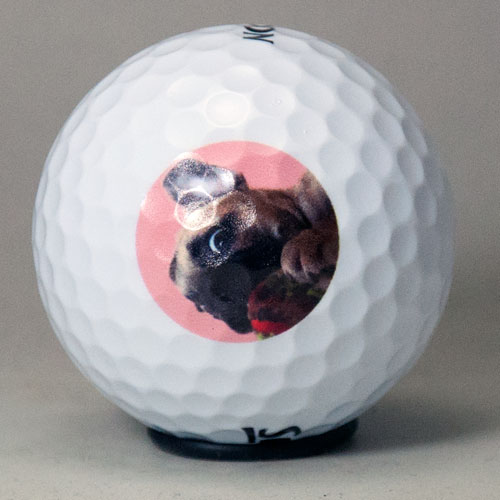 ダンロップ スリクソン 　ｘ ロゴ入れ